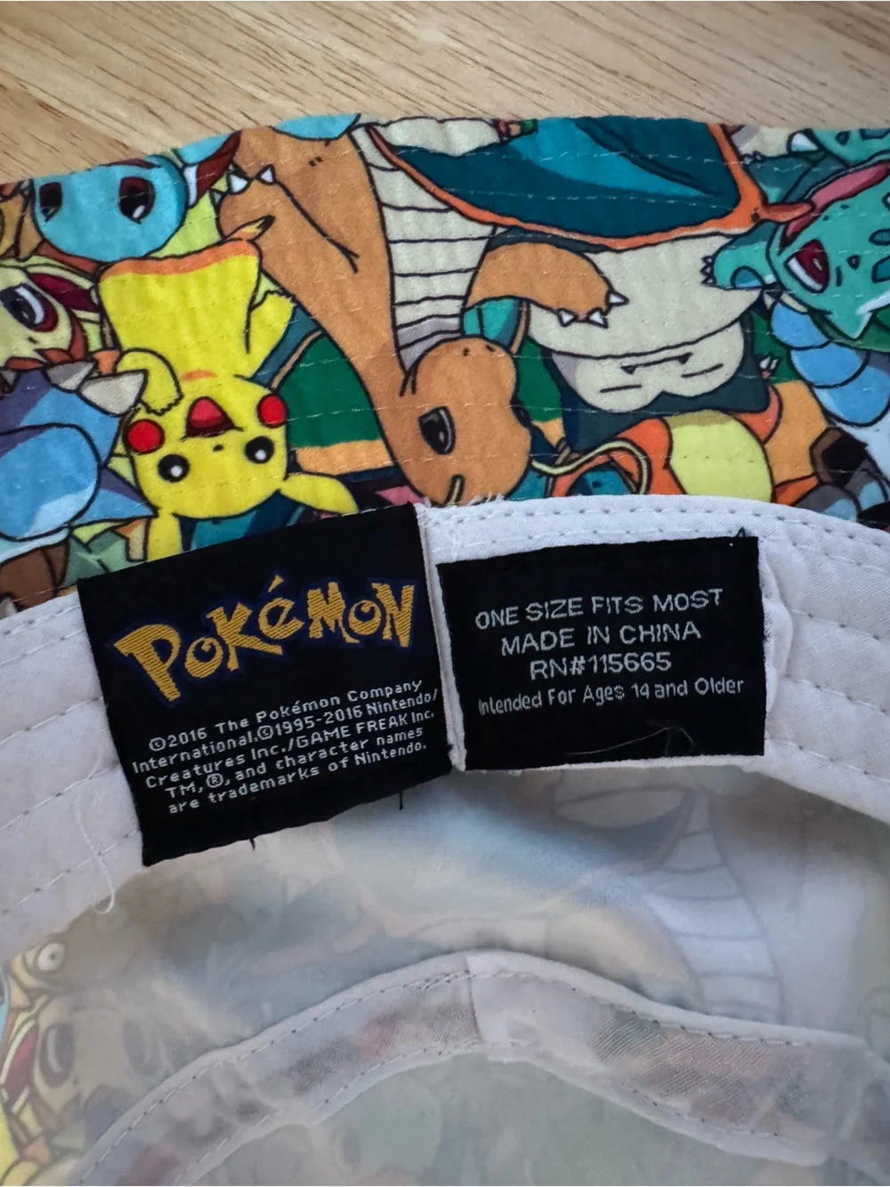 Pokemon this pokémon